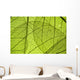 Green Leaf Texture Detail Wall Decal
