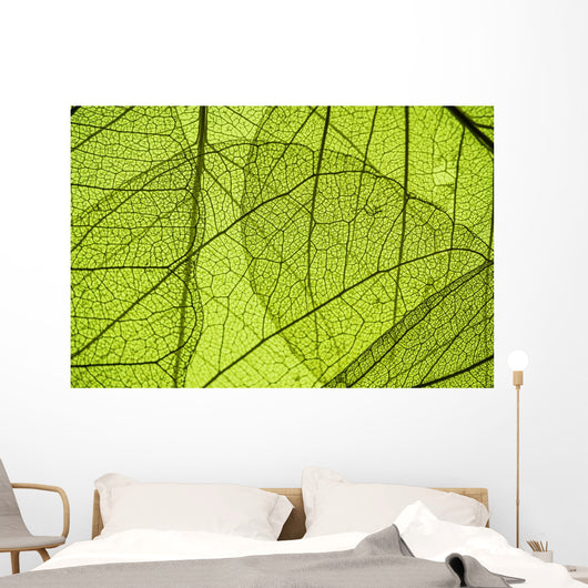 Green Leaf Texture Detail Wall Decal