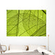 Green Leaf Texture Detail Wall Decal