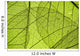 Green Leaf Texture Detail Wall Decal