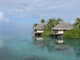 Moorea Wall Decal Design 3