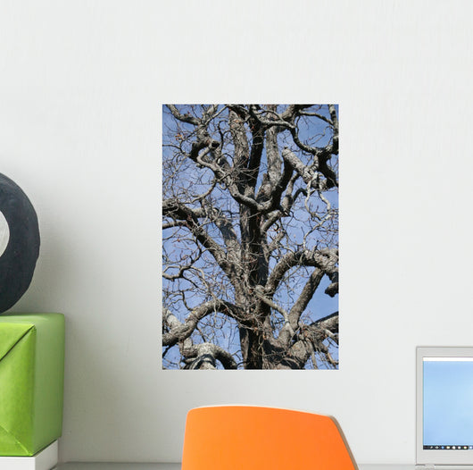 Tree Wall Mural
