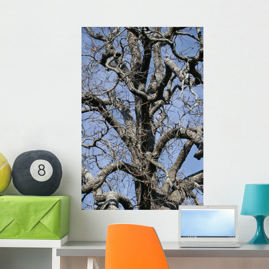 Tree Wall Mural