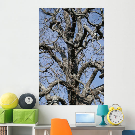Tree Wall Mural