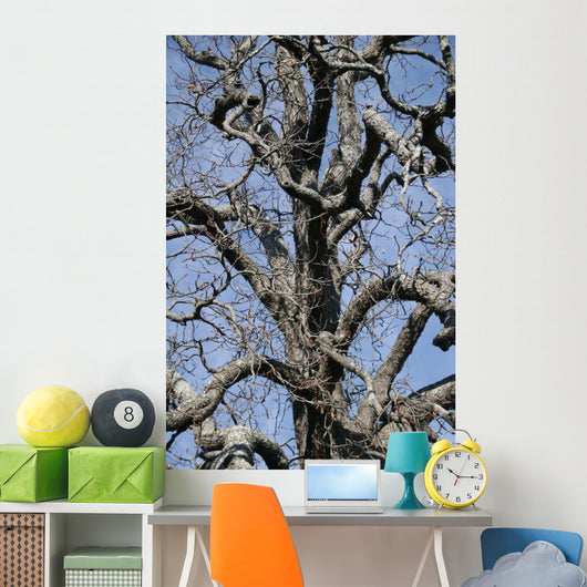 Tree Wall Mural