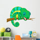 Cute chameleon cartoon Wall Decal