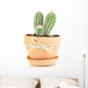 Beautiful cactus in flowerpot, isolated on white Wall Decal