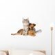 Cat and Dog Looking at Camera. Isolated on White Background 