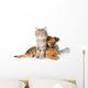 Cat and Dog Looking at Camera. Isolated on White Background 