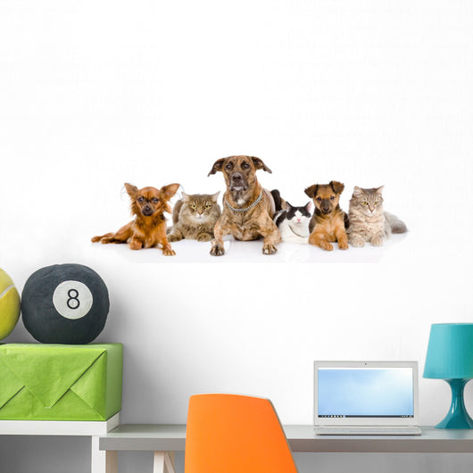 Group of cats and dogs Wall Decal