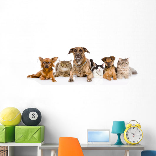 Group of cats and dogs Wall Decal