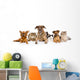 Group of cats and dogs Wall Decal