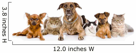 Group of cats and dogs Wall Decal