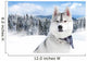 portrait of Siberian husky 