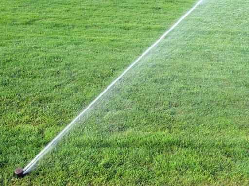 Sprinkler Spraying Water Grass Wall Decal