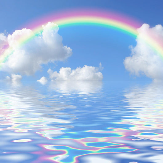 Rainbow Seascape Wall Mural