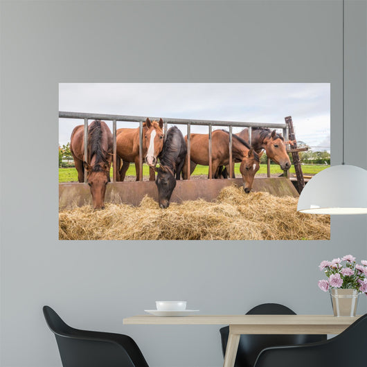 Horses eating at a feed fence 