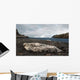 Weddell Seal Wall Decal