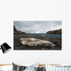 Weddell Seal Wall Decal