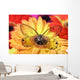 valentine butterfly Wall Mural