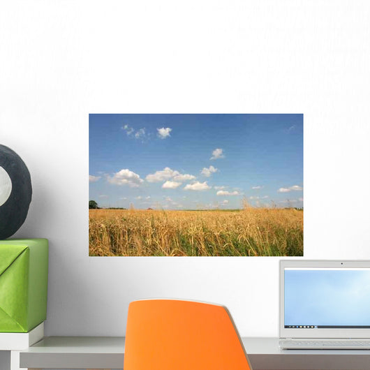 Belgian Wheat Field Wall Decal