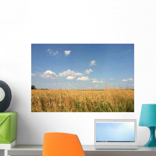 Belgian Wheat Field Wall Decal
