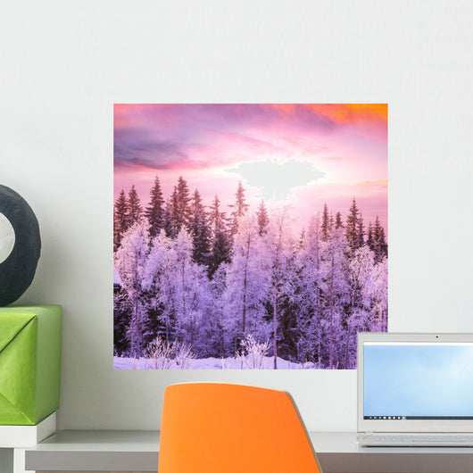 Winter Forest 