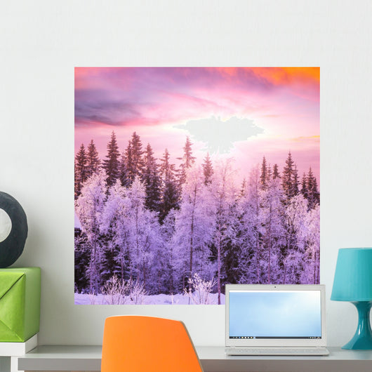 Winter Forest 