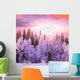 Winter Forest 