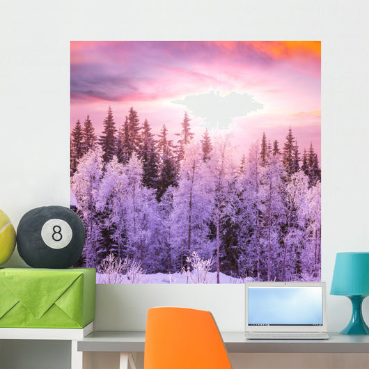 Winter Forest 