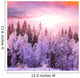 Winter Forest 