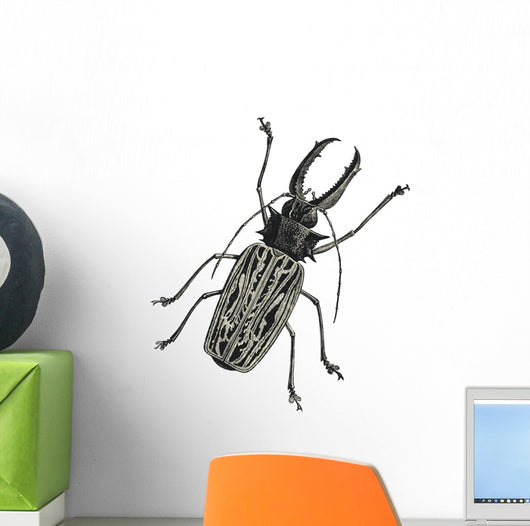 Iinsect Macrodonte Cervicorne Wall Decal