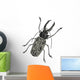 Iinsect Macrodonte Cervicorne Wall Decal
