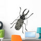 Iinsect Macrodonte Cervicorne Wall Decal