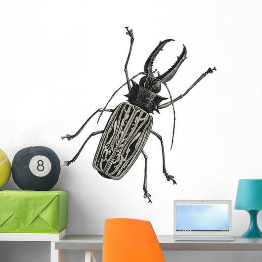 Iinsect Macrodonte Cervicorne Wall Decal