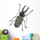 Iinsect Macrodonte Cervicorne Wall Decal