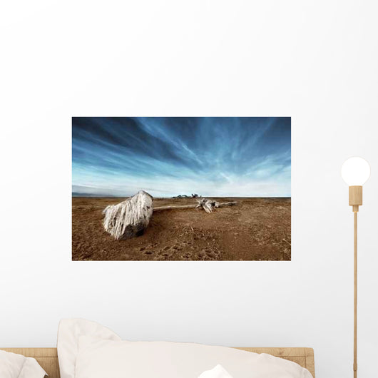 Driftwood Sand Deserted Beach Wall Decal