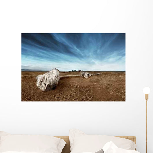 Driftwood Sand Deserted Beach Wall Decal