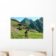Mountain Biker Wall Decal