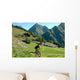 Mountain Biker Wall Decal