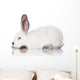 White Rabbit Wall Decal