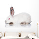 White Rabbit Wall Decal