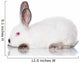 White Rabbit Wall Decal