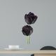 black tulip Wall Decal