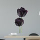 black tulip Wall Decal