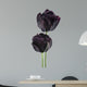 black tulip Wall Decal