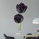 black tulip Wall Decal
