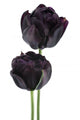 black tulip Wall Decal