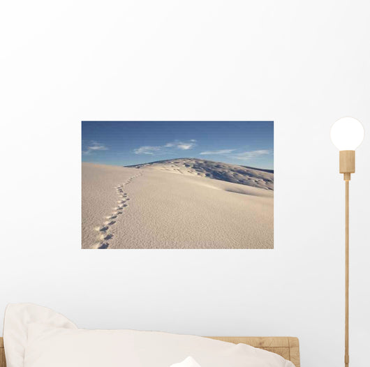 Tracks Snow Wall Decal Design 2