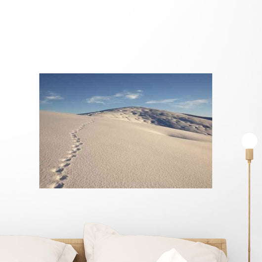 Tracks Snow Wall Decal Design 2